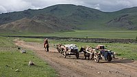 Thuisland Mongolië